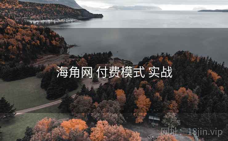 海角网 付费模式 实战
