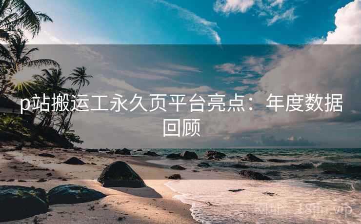 p站搬运工永久页平台亮点:年度数据回顾 p站搬运工永久页平台亮点:年度数据回顾
