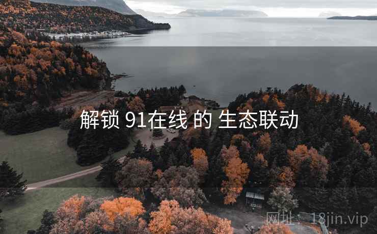 解锁 91在线 的 生态联动