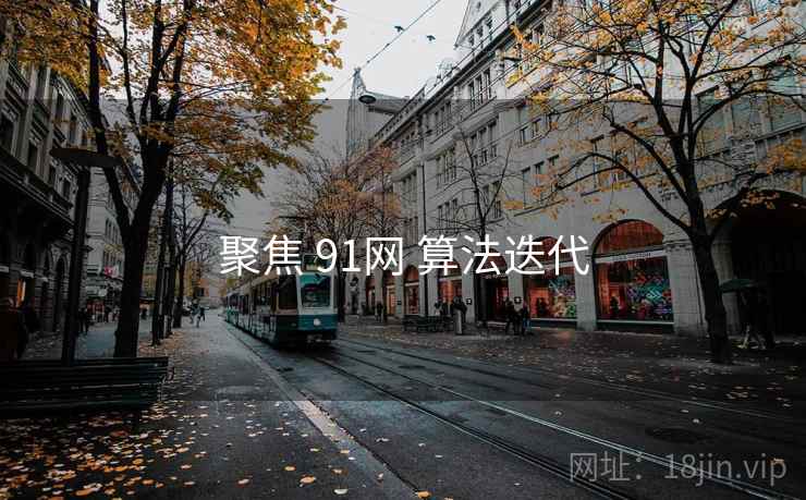 聚焦 91网 算法迭代