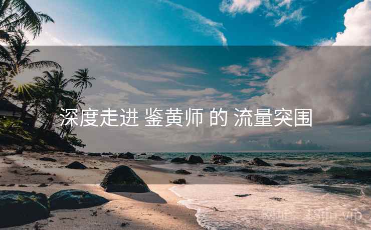 深度走进 鉴黄师 的 流量突围