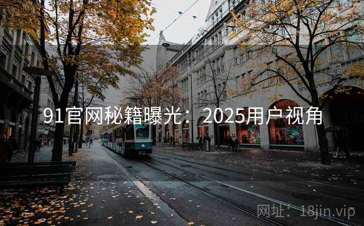 91官网秘籍曝光：2025用户视角
