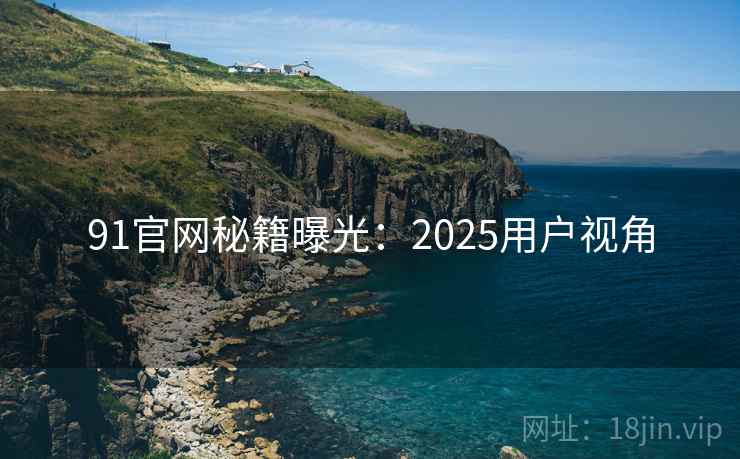 91官网秘籍曝光：2025用户视角