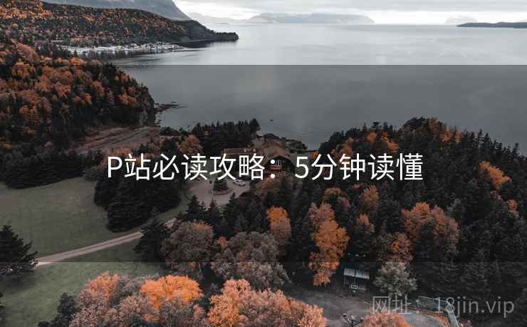 P站必读攻略：5分钟读懂