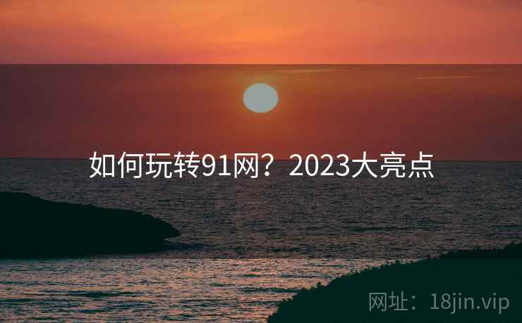 如何玩转91网？2023大亮点